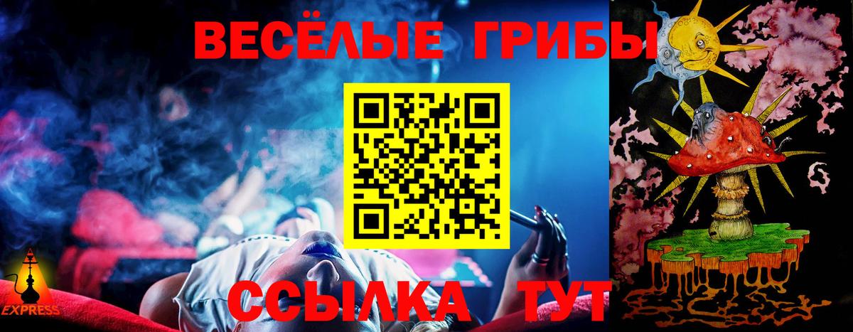 Галлюциногенные грибы Psilocybe Орёл